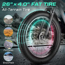 VIVI F26F Long Range Fat Tire Electric Bike