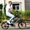 VIVI MT20 Step-Through Folding Electric Cruiser Bike